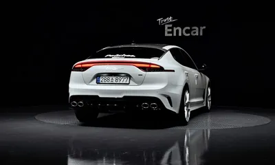 Kia Stinger 2023, 70168 км, за 33900000 KRW - фото 4