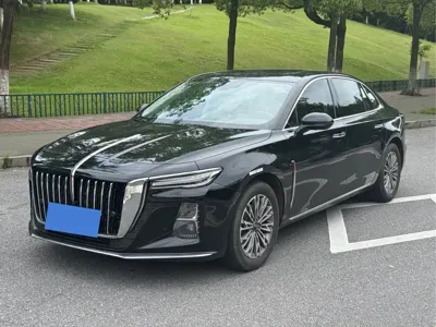 Hongqi Hongqi H5 · 2023 год