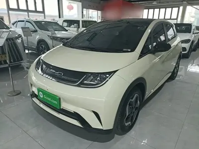 BYD Dolphin 2022, 82200 км, за 56500 CNY - фото 2