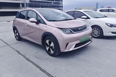 BYD Dolphin · 2023 год