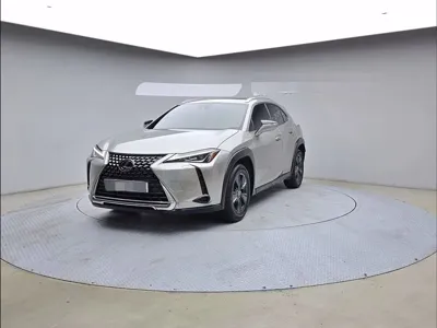 Lexus UX 2020, 90684 км, за 24500000 KRW - фото 1