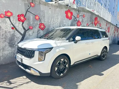 Kia Canival 2025, 29650 км, за 18170000 KRW