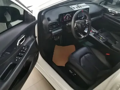 GAC Motor Shadow Leopard 2023, 31700 км, за 68900 CNY - фото 15