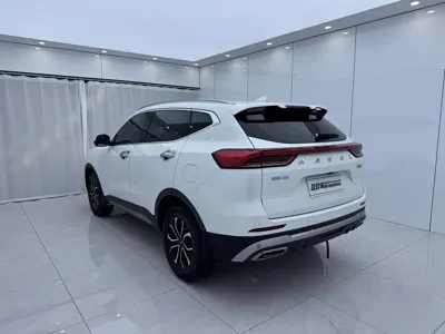 Haval H6 2023, 48000 км, за 69800 CNY - фото 5