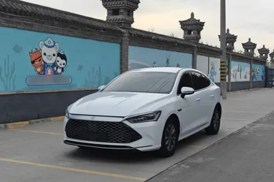 BYD Qin Plus · 2024 год