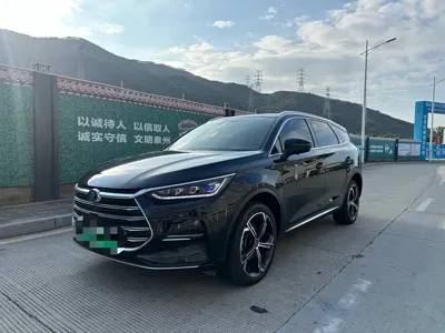 BYD Tang New Energy · 2021 год
