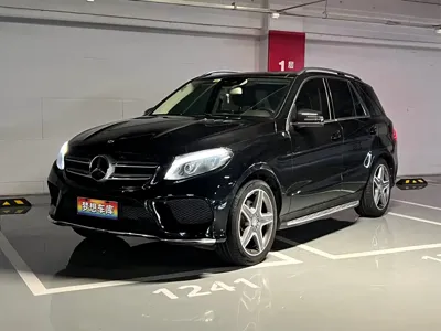 Mercedes-Benz 奔驰GLE(进口) · 2016 год