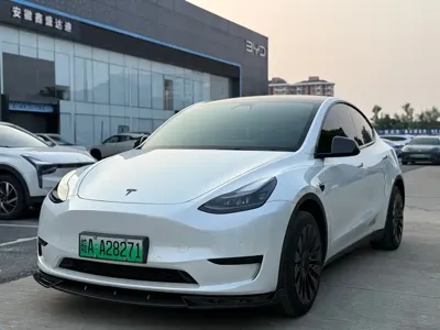 Tesla Model Y · 2023 год