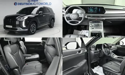 Hyundai Palisade · 2024 год
