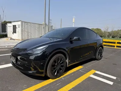 Tesla Model Y · 2023 год
