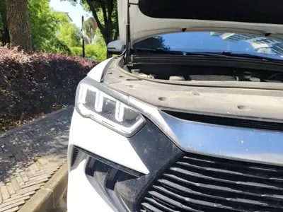 BYD Pro New Energy 2023, 59800 км, за 74400 CNY - фото 15