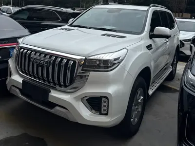 Haval H9 · 2023 год