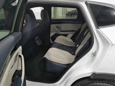 BYD PLUS New Energy 2023, 116800 км, за 55800 CNY - фото 15
