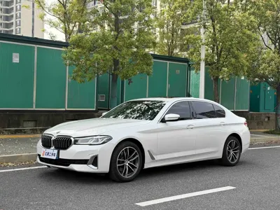 BMW 5 Series · 2021 год