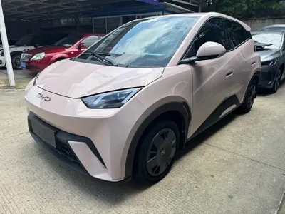 BYD Seagull · 2023 год