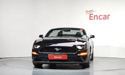 Ford Mustang 2019, 98465 км, за 23900000 KRW - фото 36