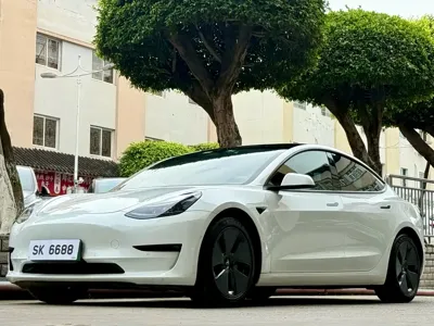 Tesla Model 3 · 2021 год
