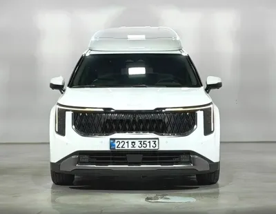Kia Canival 2024, 34797 км, за 21600000 KRW