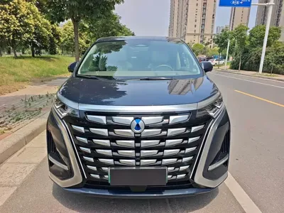 Denza Denza D9 2023, 38000 км, за 179800 CNY