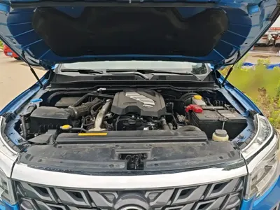 Dongfeng Rich 7 2023, 39900 км, за 83900 CNY - фото 20