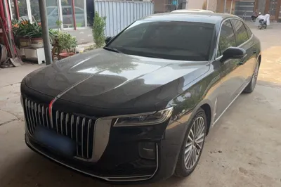 Hongqi H9 · 2020 год