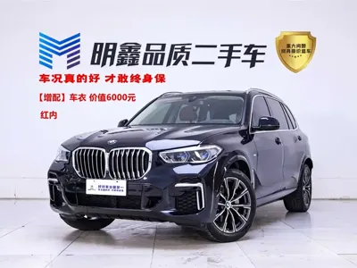 BMW X5 · 2023 год