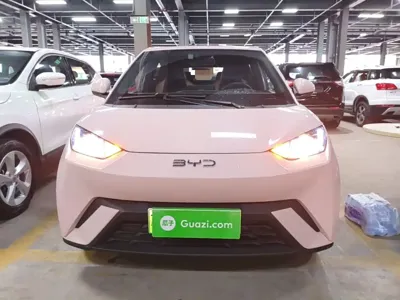 BYD Seagull 2024, 23700 км, за 46300 CNY