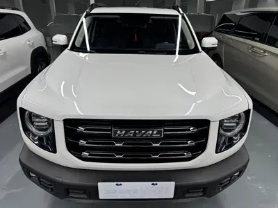 Haval Big Dog · 2021 год