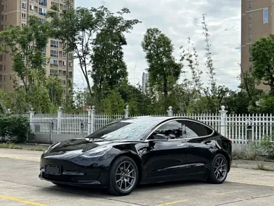 Tesla Model 3 · 2020 год