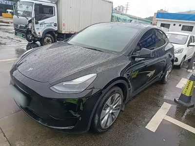 Tesla Model Y · 2023 год