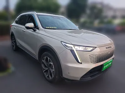 Haval Fierce Dragon Max 2023, 49200 км, за 89060.2 CNY