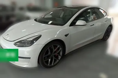 Tesla Model 3 · 2021 год