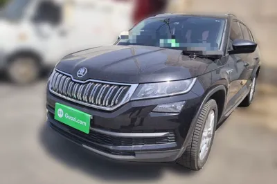 Skoda Kodiaq · 2018 год