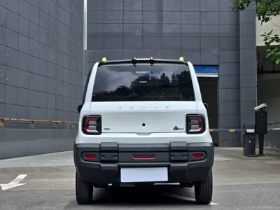 Galaxy Panda 2023, 13000 км, за 28800 CNY - фото 10