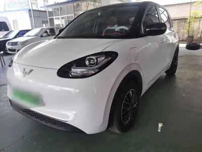 Wuling Bingo · 2024 год