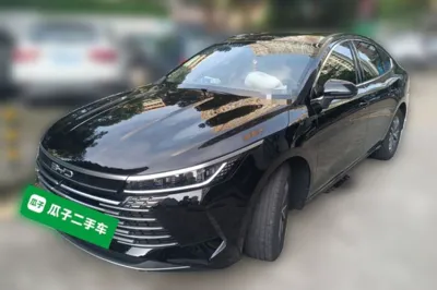BYD Destroyer 05 · 2024 год