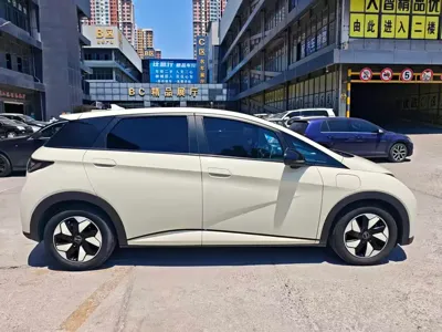 BYD Dolphin 2024, 70000 км, за 58800 CNY - фото 6