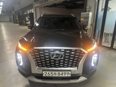 Hyundai Palisade · 2020 год