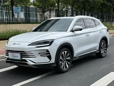 BYD PLUS New Energy · 2024 год