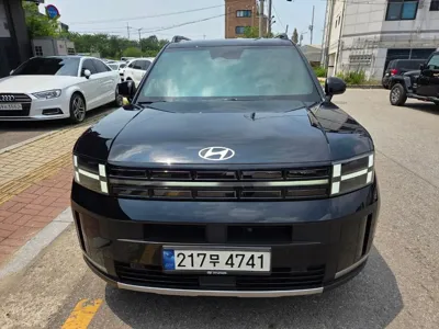 Hyundai Santafe · 2024 год