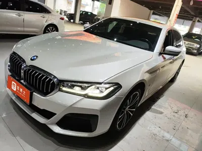 BMW 5 Series · 2022 год