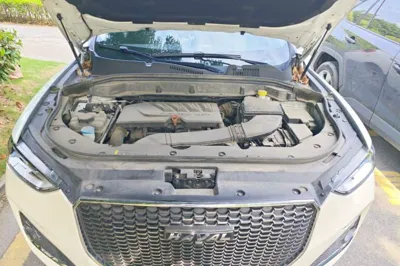 Haval F5 2019, 88000 км, за 49781.53 CNY - фото 21