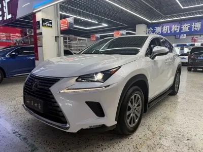 Lexus NX · 2019 год