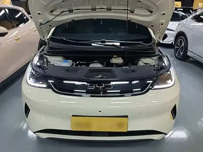 BYD Dolphin 2025, 16700 км, за 76200 CNY - фото 20
