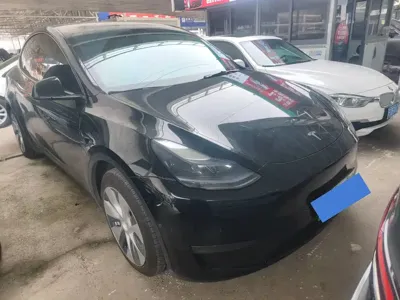Tesla Model Y · 2023 год