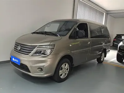 Fengxing Lingzhi · 2020 год