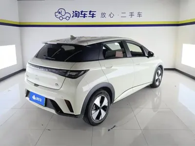 BYD Dolphin 2023, 42100 км, за 64800 CNY - фото 3