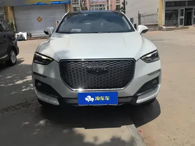 Haval F5 2019, 52600 км, за 35000 CNY - фото 2