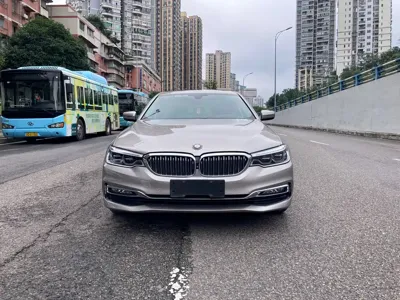 BMW 5 Series · 2017 год