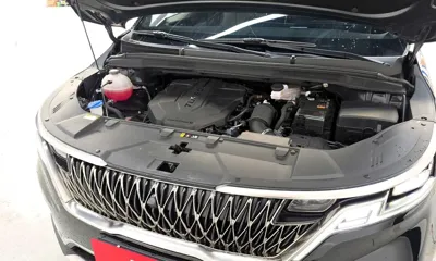 Kia Canival 2023, 43124 км, за 30500000 KRW - фото 6